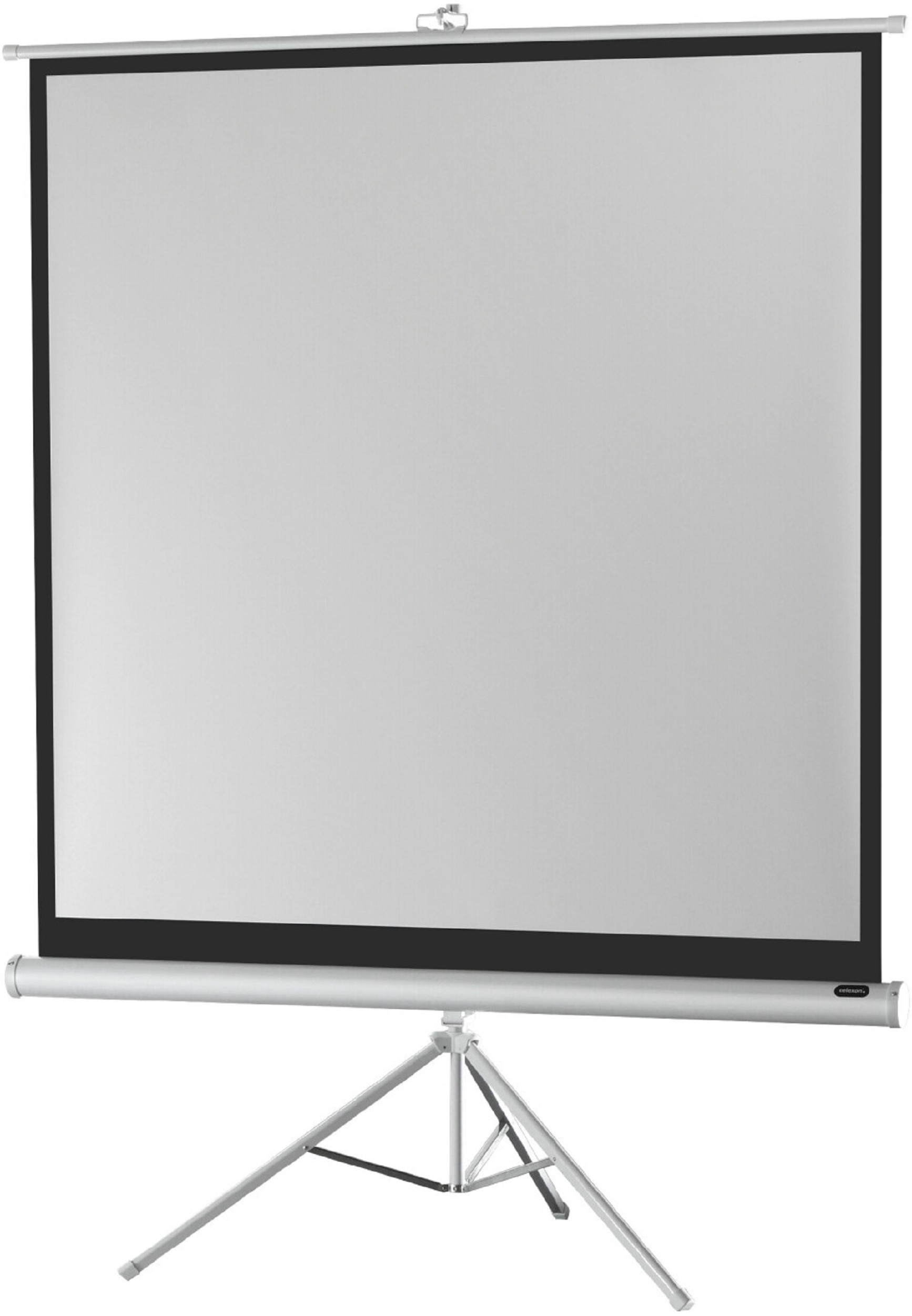 celexon, Leinwand auf Fuß Economy White Edition, 219x123 cm 