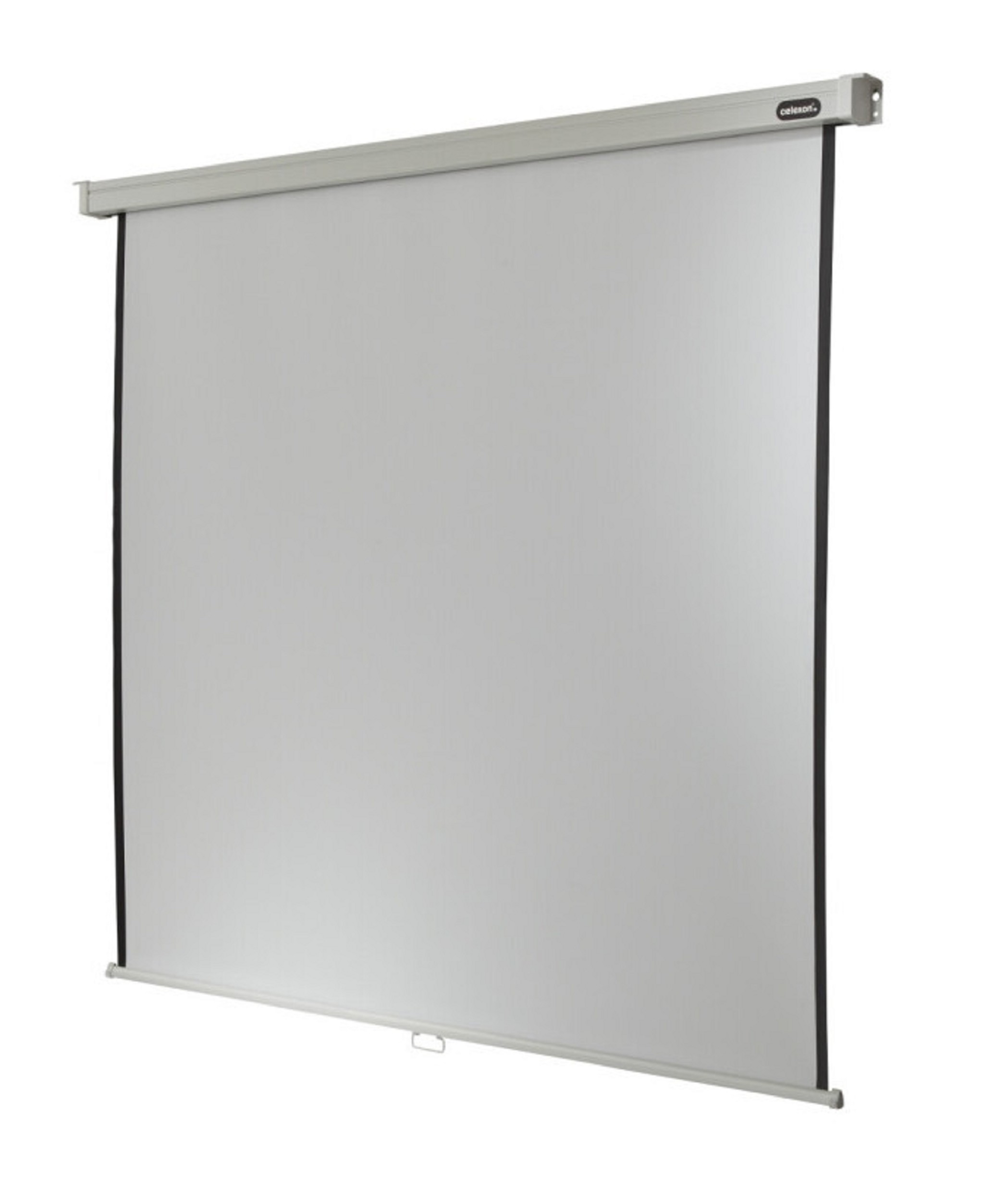 celexon, Rollo Professional, 290x163 cm 
