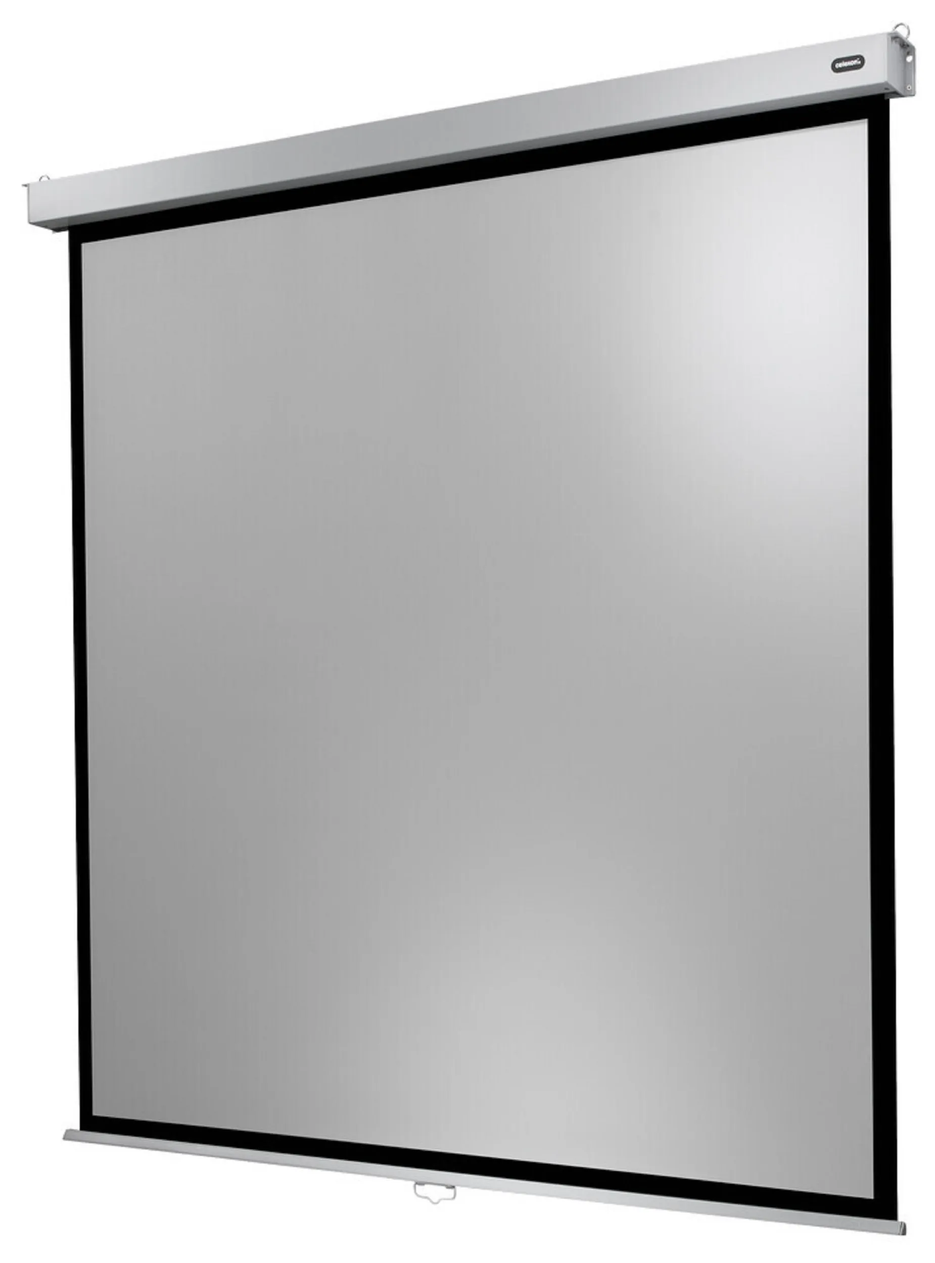 celexon, Rollo Professional Plus, 280x175 cm 