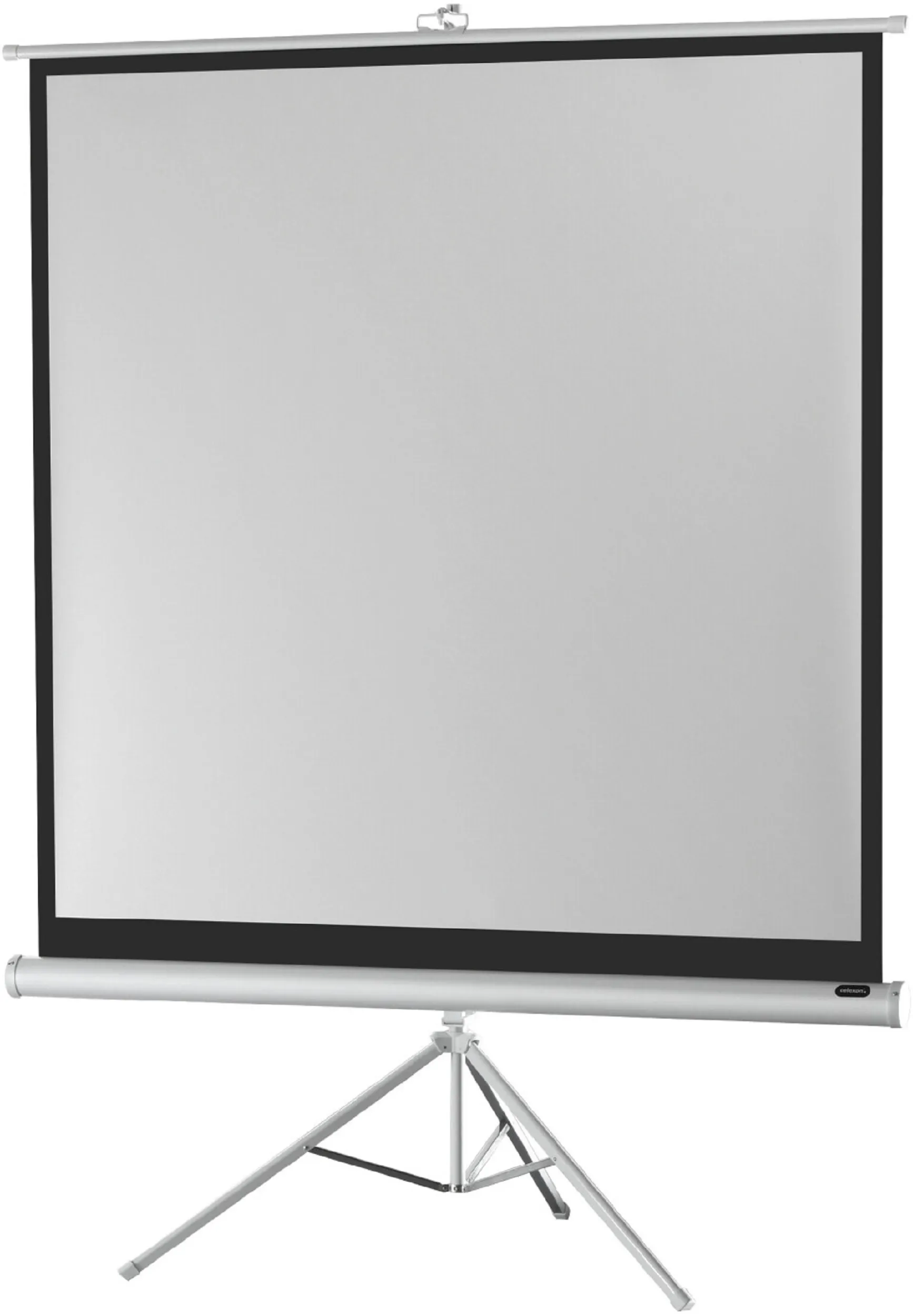 celexon, Leinwand auf Fuß Economy White Edition, 244x244 cm 