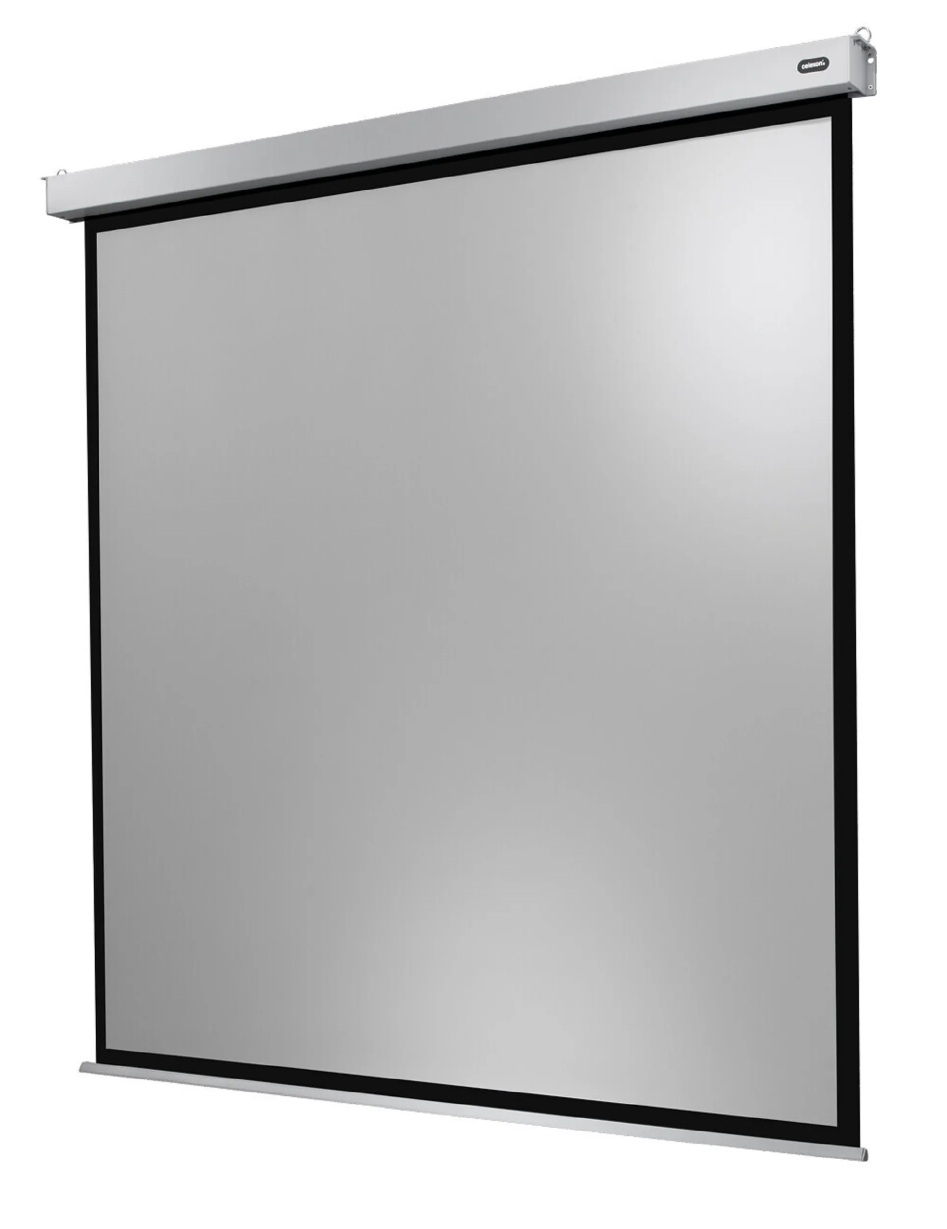 celexon, Motor Professional Plus, 240x180 cm 
