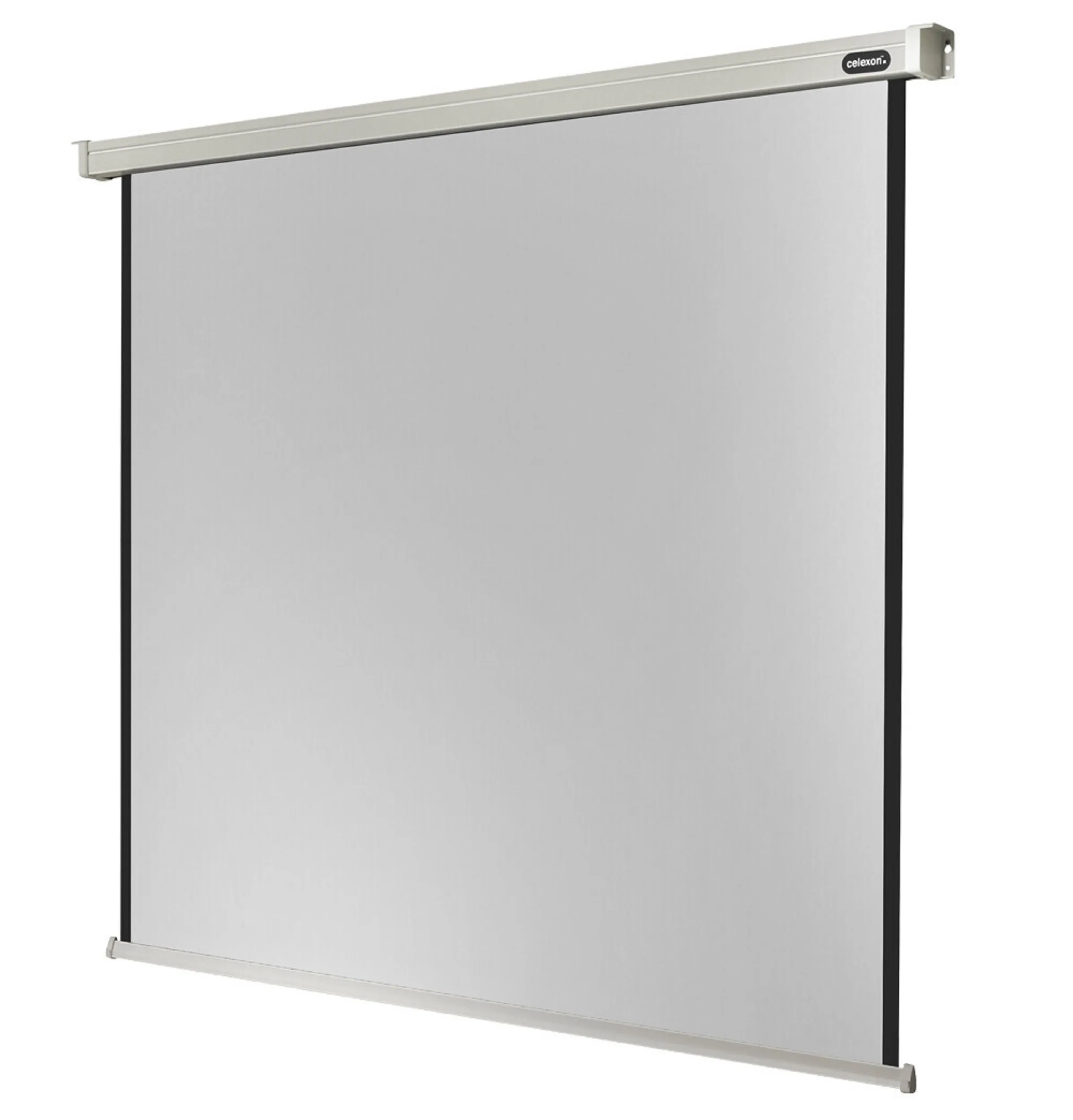 celexon, professioneller Motor, 270x152 cm 