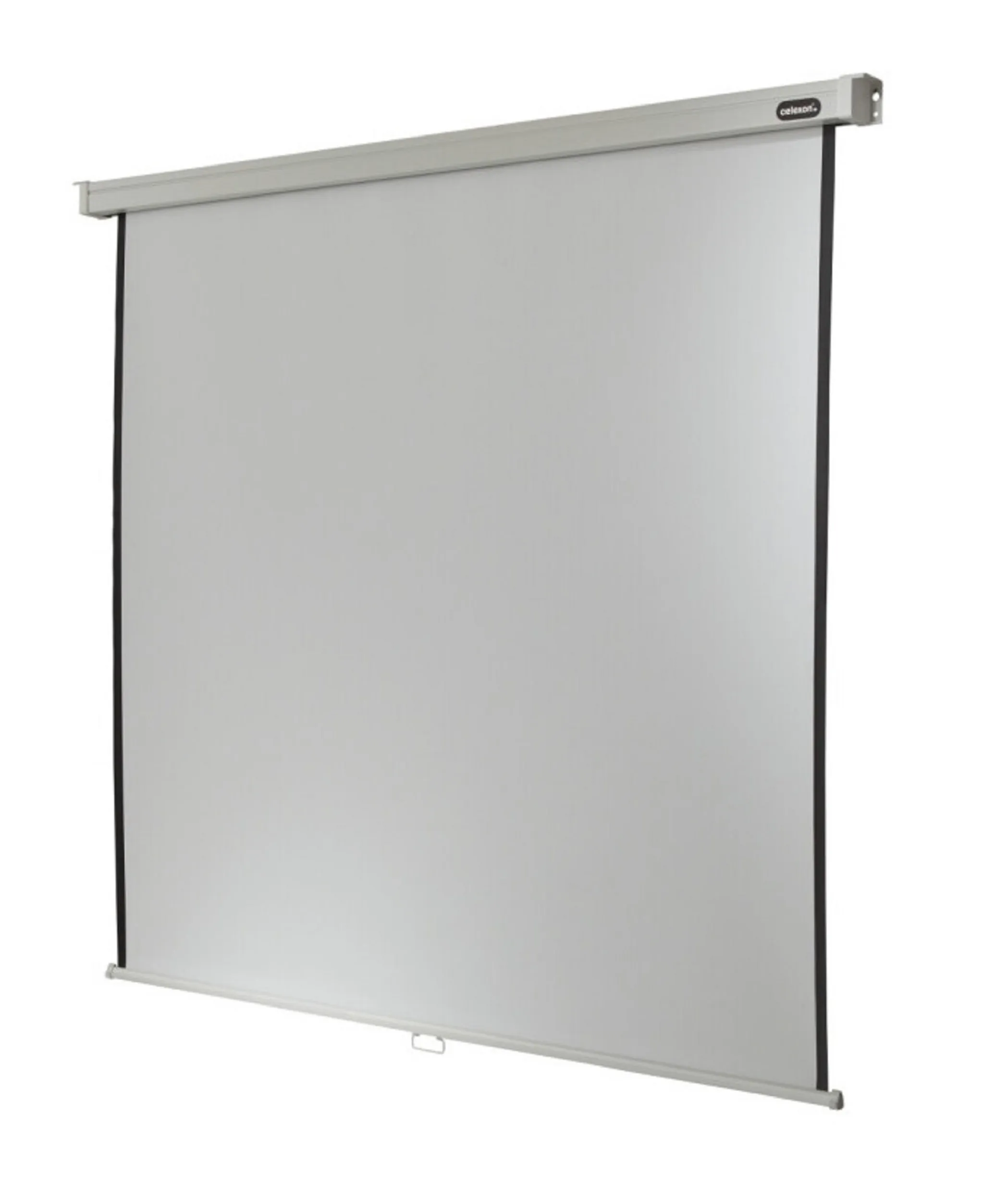 celexon, Rollo Professional, 290x218 cm 