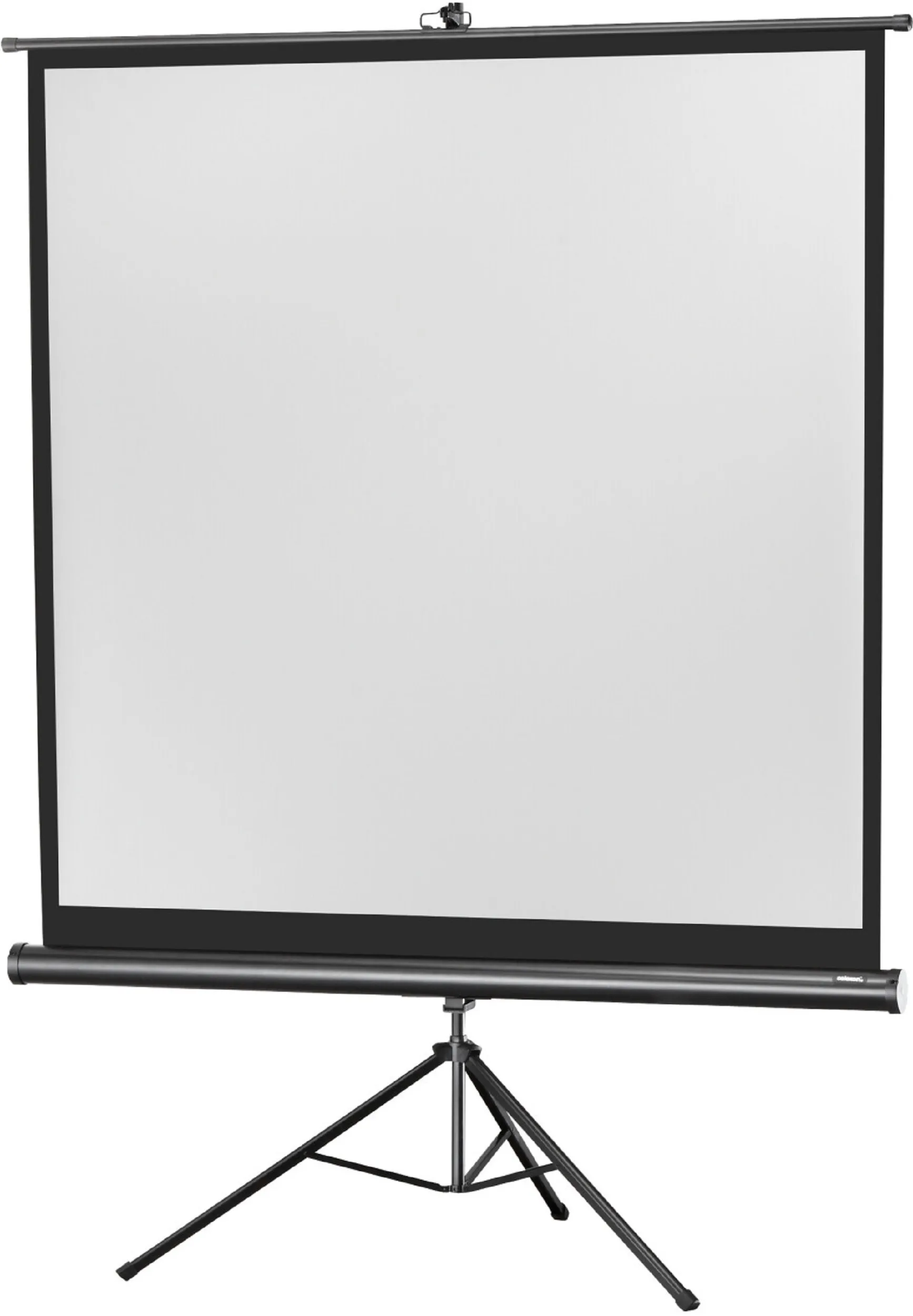 celexon, Leinwand mit Standfuß Economy, 244x244 cm 